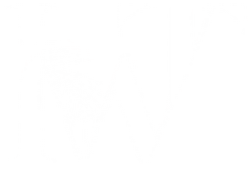 IWT Logo White a white letter logo